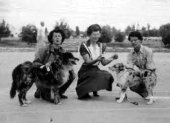 1958 Himmelpark 1st ASCA show.jpg