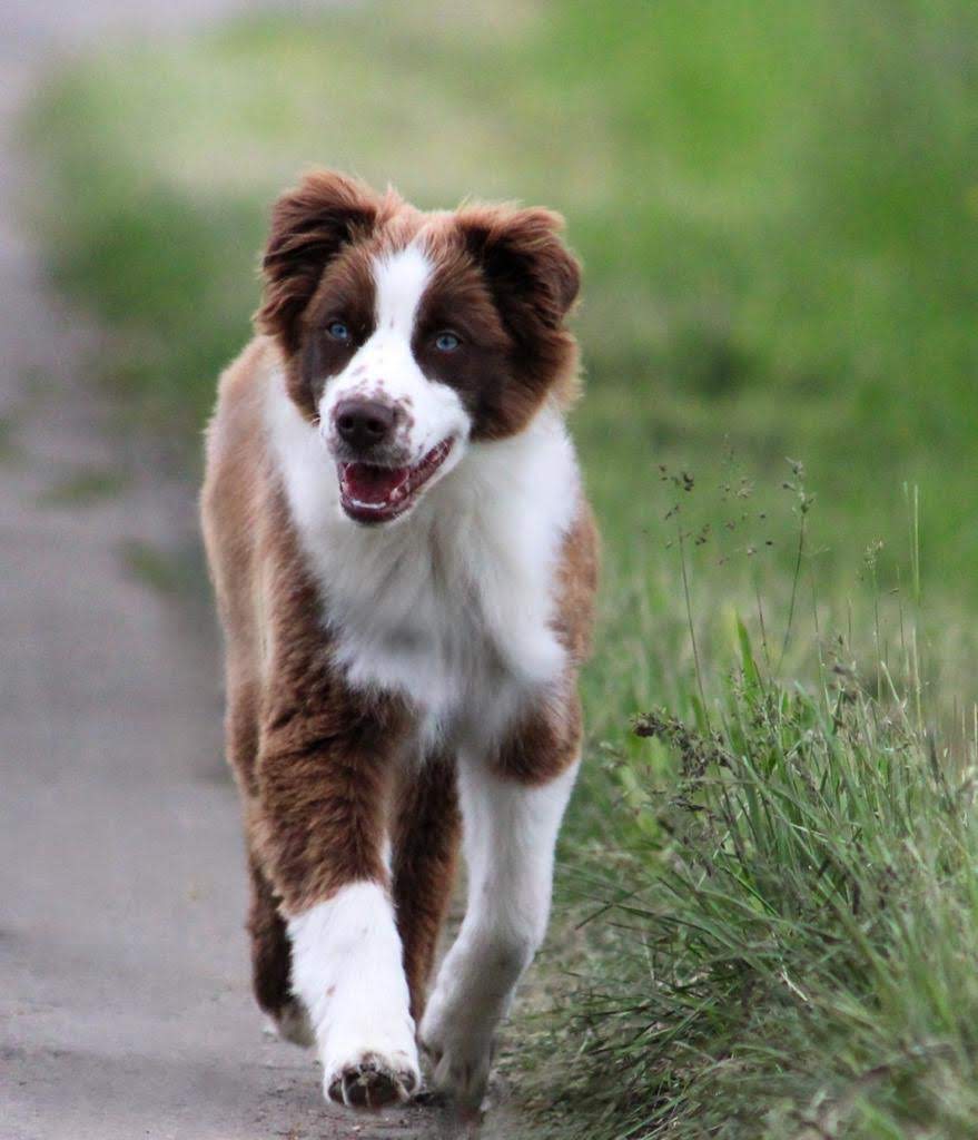 IMG-20230520-WA0047 (1)